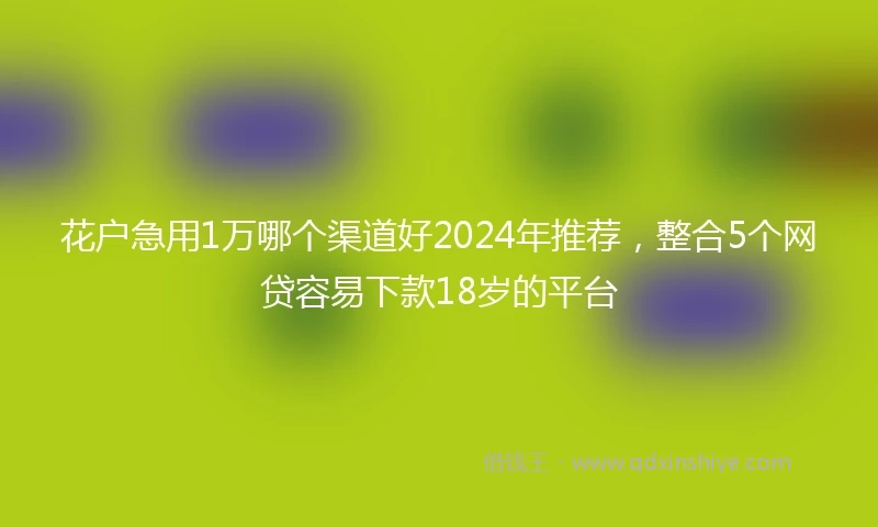 花户急用1万哪个渠道好2024年推荐,整合5个网贷容易下款18岁的平台
