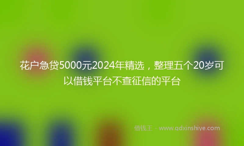 花户急贷5000元2024年精选，整理五个20岁可以借钱平台不查征信的平台