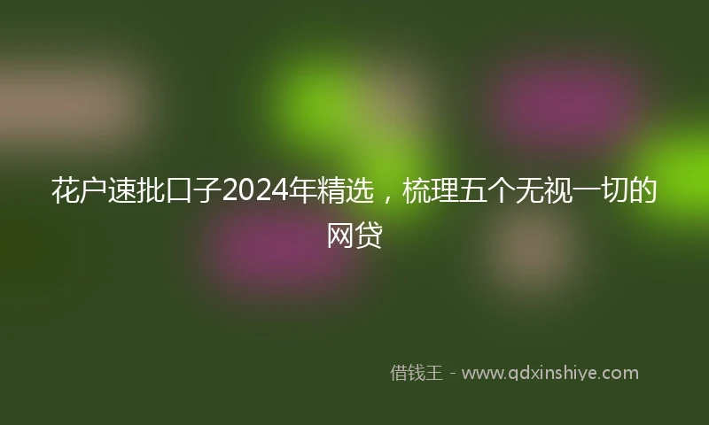 花户速批口子2024年精选，梳理五个无视一切的网贷