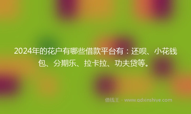 2024年的花户有哪些借款平台有：还呗、小花钱包、分期乐、拉卡拉、功夫贷等。