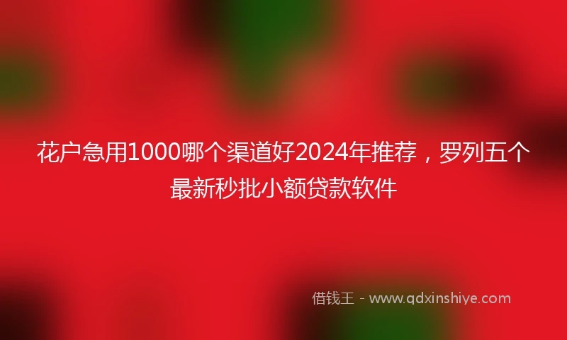 花户急用1000哪个渠道好2024年推荐，罗列五个最新秒批小额贷款软件