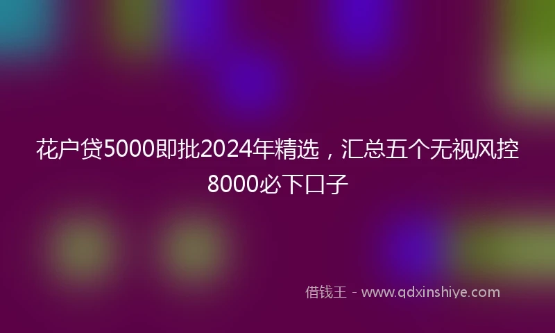 花户贷5000即批2024年精选，汇总五个无视风控8000必下口子