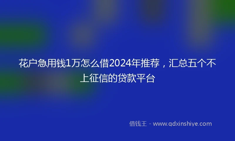 花户急用钱1万怎么借2024年推荐,汇总五个不上征信的贷款平台