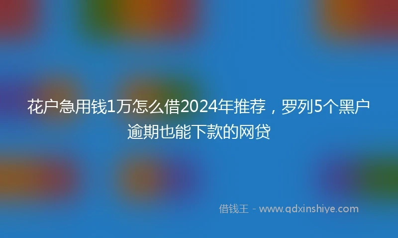 花户急用钱1万怎么借2024年推荐,罗列5个黑户逾期也能下款的网贷