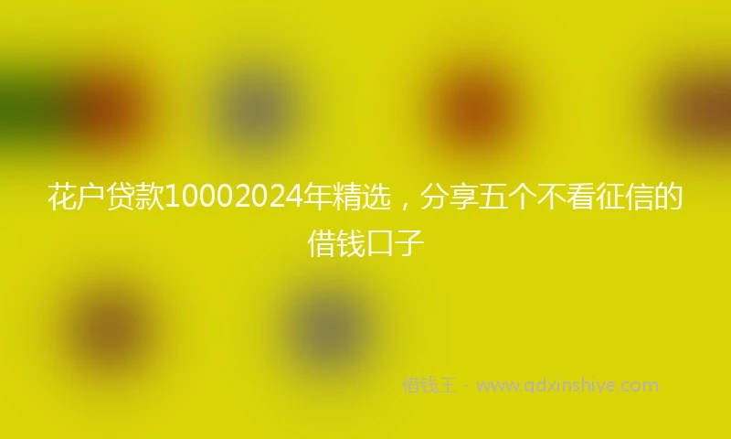 花户贷款10002024年精选，分享五个不看征信的借钱口子