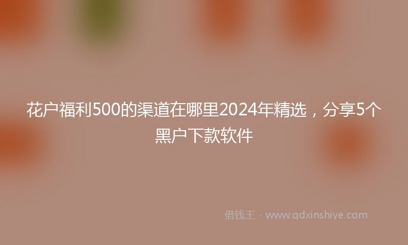 花户福利500的渠道在哪里2024年精选，分享5个黑户下款软件