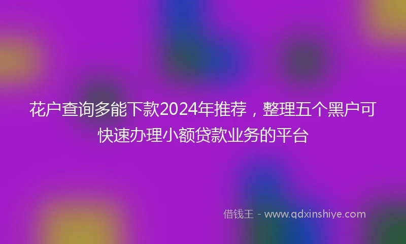 花户查询多能下款2024年推荐，整理五个黑户可快速办理小额贷款业务的平台