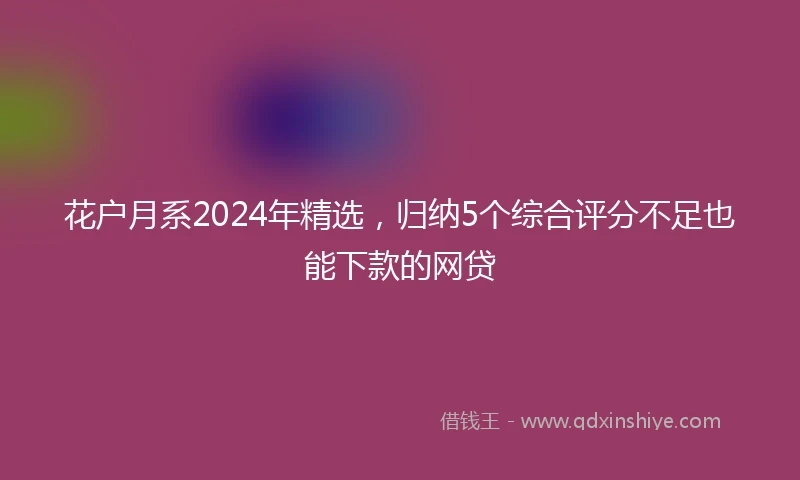 花户月系2024年精选，归纳5个综合评分不足也能下款的网贷
