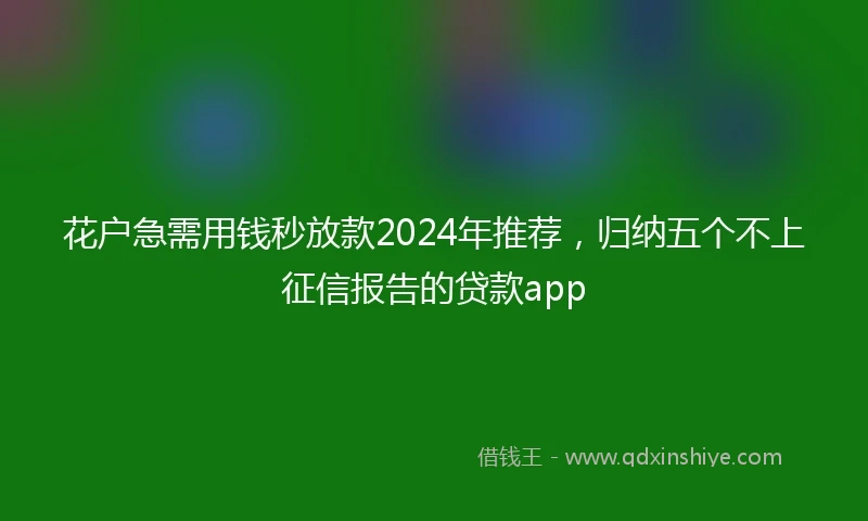 花户急需用钱秒放款2024年推荐，归纳五个不上征信报告的贷款app