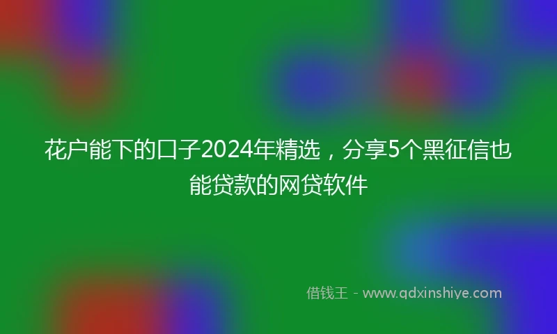 花户能下的口子2024年精选，分享5个黑征信也能贷款的网贷软件
