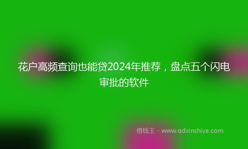 花户高频查询也能贷2024年推荐，盘点五个闪电审批的软件