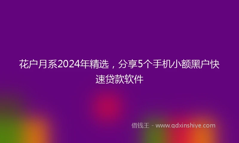 花户月系2024年精选，分享5个手机小额黑户快速贷款软件
