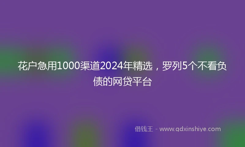 花户急用1000渠道2024年精选，罗列5个不看负债的网贷平台