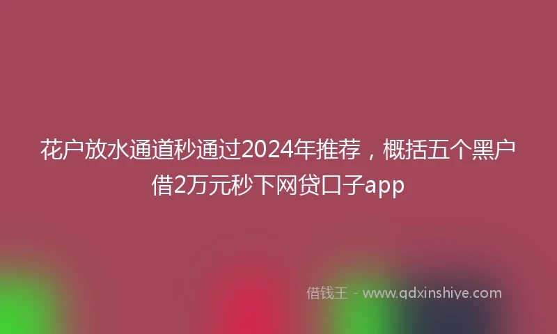 花户放水通道秒通过2024年推荐，概括五个黑户借2万元秒下网贷口子app