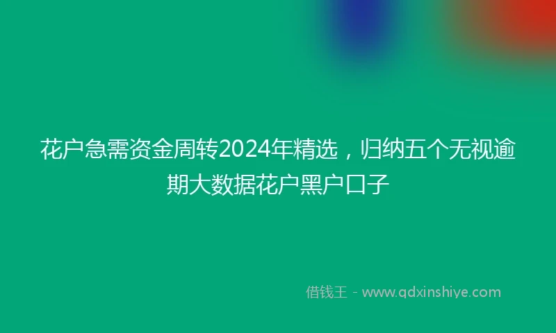 花户急需资金周转2024年精选，归纳五个无视逾期大数据花户黑户口子