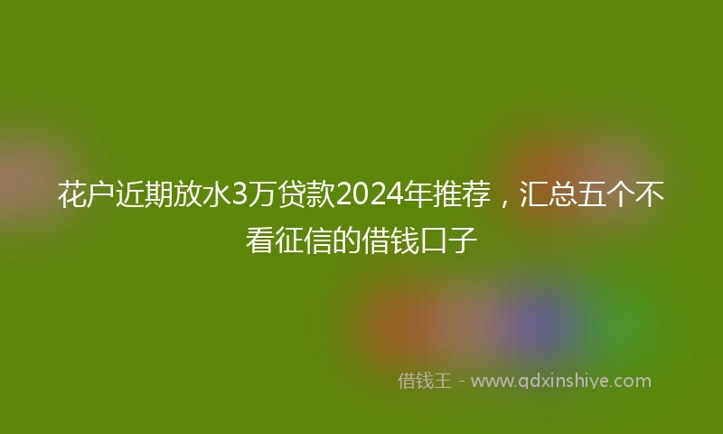 花户近期放水3万贷款2024年推荐，汇总五个不看征信的借钱口子