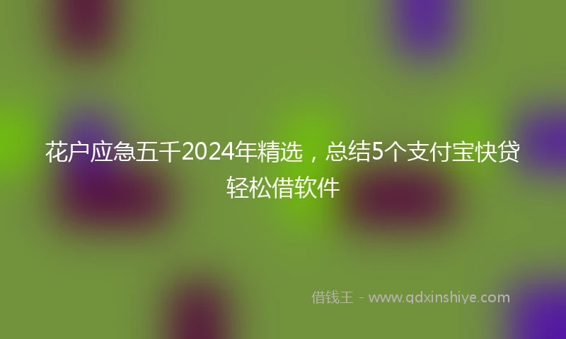 花户应急五千2024年精选，总结5个支付宝快贷轻松借软件