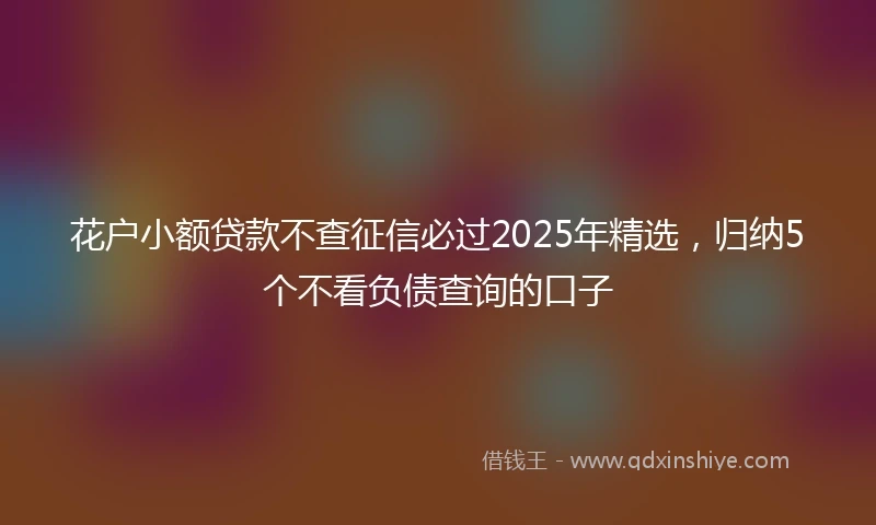 花户小额贷款不查征信必过2025年精选，归纳5个不看负债查询的口子