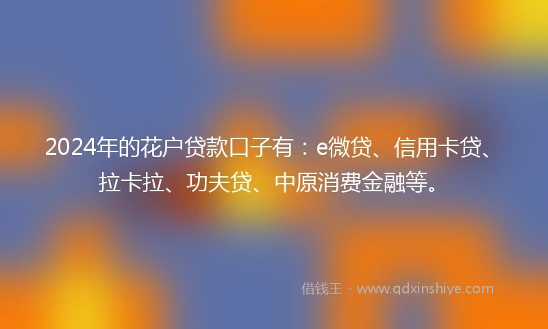 2024年的花户贷款口子有：e微贷、信用卡贷、拉卡拉、功夫贷、中原消费金融等。
