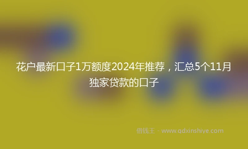 花户最新口子1万额度2024年推荐，汇总5个11月独家贷款的口子