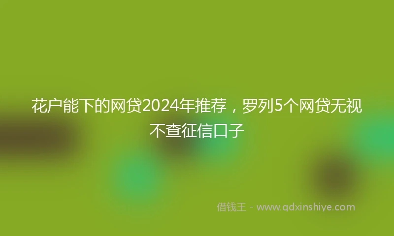 花户能下的网贷2024年推荐，罗列5个网贷无视不查征信口子