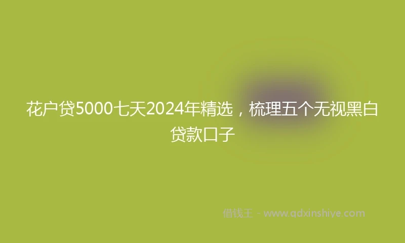 花户贷5000七天2024年精选，梳理五个无视黑白贷款口子