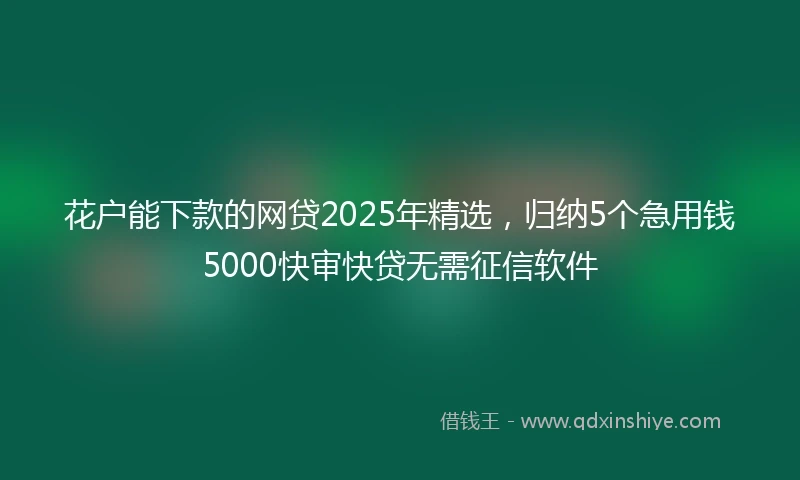花户能下款的网贷2025年精选，归纳5个急用钱5000快审快贷无需征信软件
