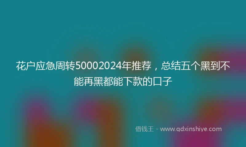 花户应急周转50002024年推荐，总结五个黑到不能再黑都能下款的口子