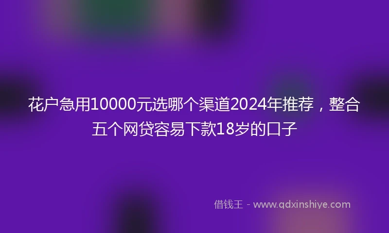 花户急用10000元选哪个渠道2024年推荐，整合五个网贷容易下款18岁的口子