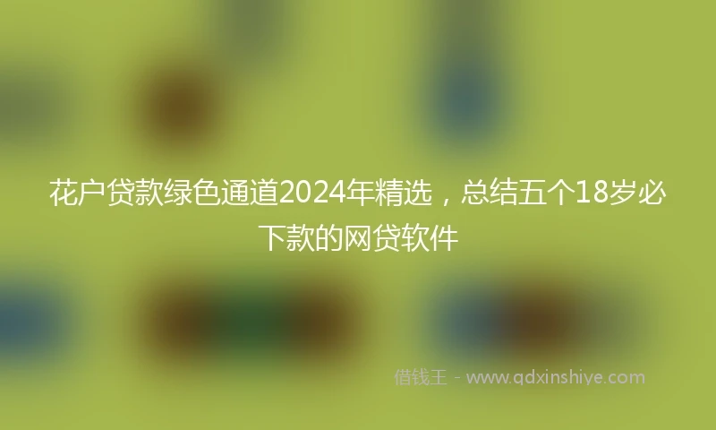 花户贷款绿色通道2024年精选，总结五个18岁必下款的网贷软件