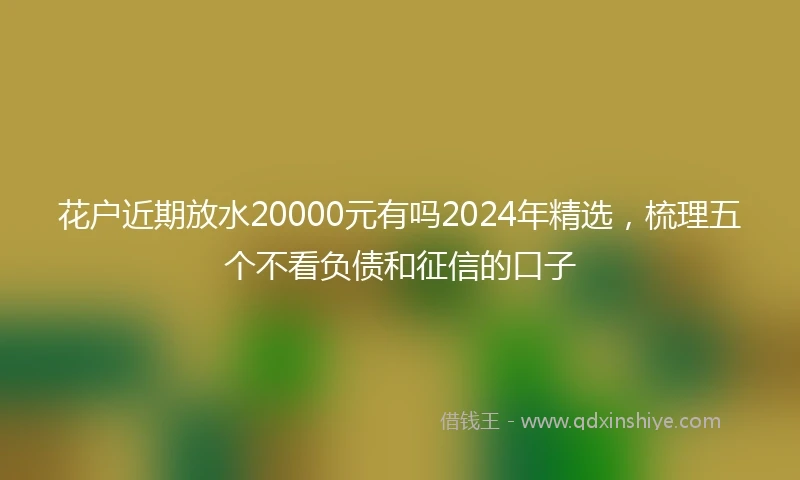 花户近期放水20000元有吗2024年精选，梳理五个不看负债和征信的口子