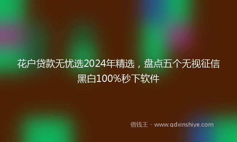 花户贷款无忧选2024年精选，盘点五个无视征信黑白100%秒下软件