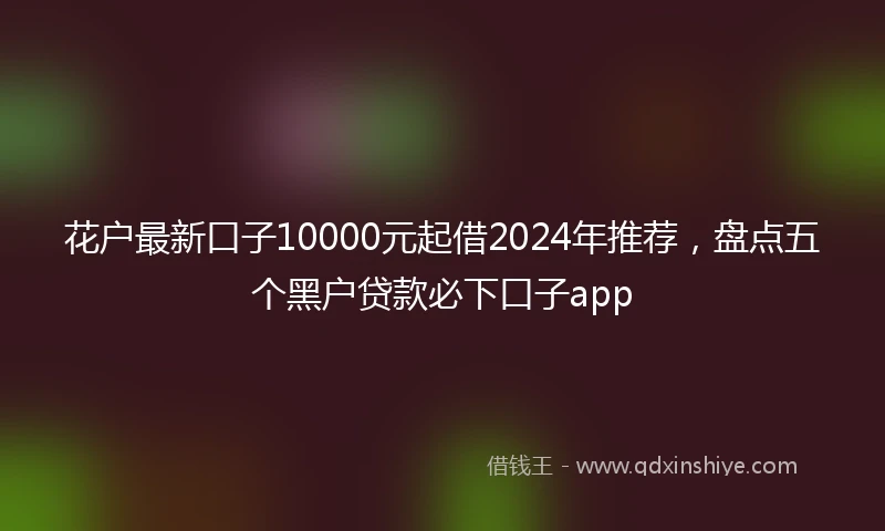 花户最新口子10000元起借2024年推荐，盘点五个黑户贷款必下口子app
