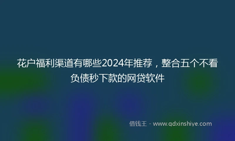 花户福利渠道有哪些2024年推荐，整合五个不看负债秒下款的网贷软件
