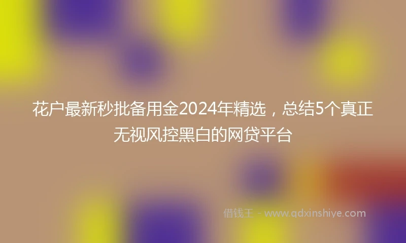 花户最新秒批备用金2024年精选，总结5个真正无视风控黑白的网贷平台