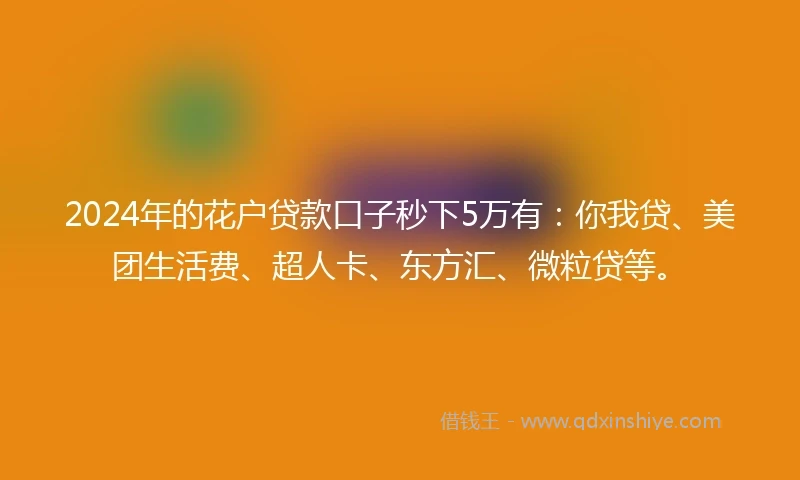 2024年的花户贷款口子秒下5万有：你我贷、美团生活费、超人卡、东方汇、微粒贷等。