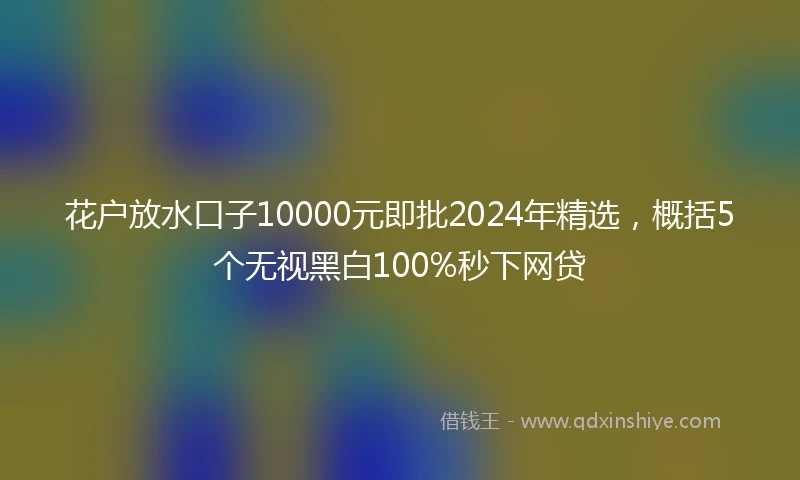 花户放水口子10000元即批2024年精选，概括5个无视黑白100%秒下网贷