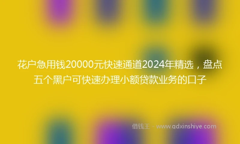 花户急用钱20000元快速通道2024年精选，盘点五个黑户可快速办理小额贷款业务的口子