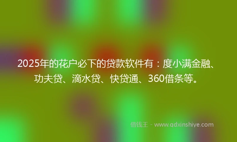 2025年的花户必下的贷款软件有：度小满金融、功夫贷、滴水贷、快贷通、360借条等。