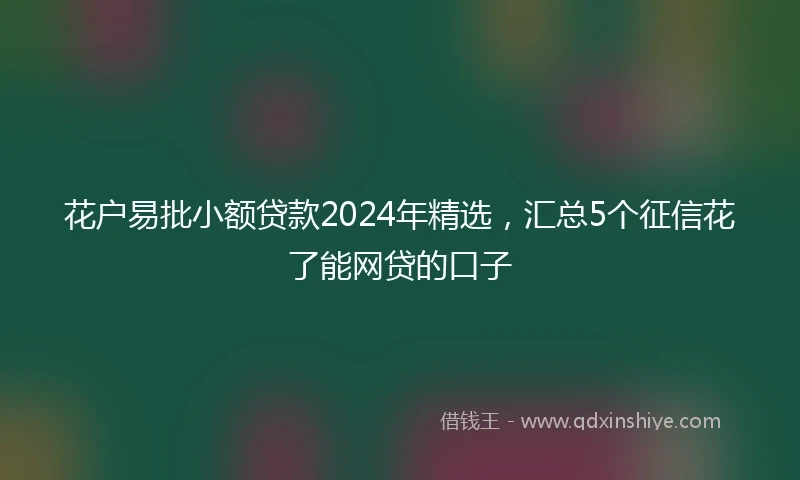 花户易批小额贷款2024年精选，汇总5个征信花了能网贷的口子