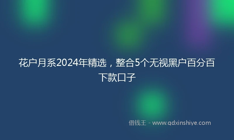 花户月系2024年精选，整合5个无视黑户百分百下款口子
