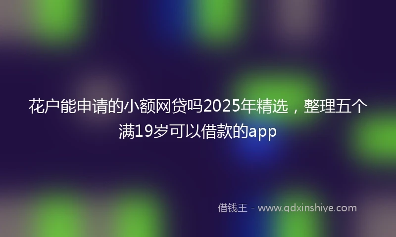 花户能申请的小额网贷吗2025年精选，整理五个满19岁可以借款的app