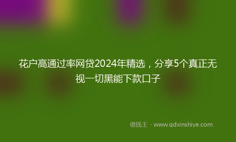 花户高通过率网贷2024年精选，分享5个真正无视一切黑能下款口子