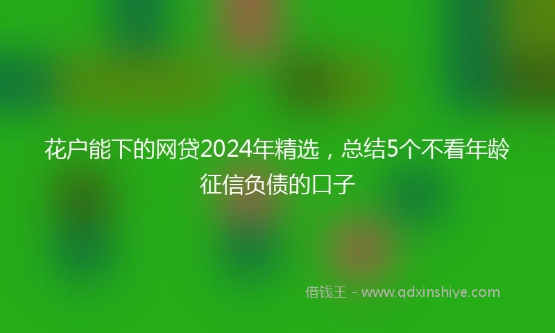 花户能下的网贷2024年精选，总结5个不看年龄征信负债的口子