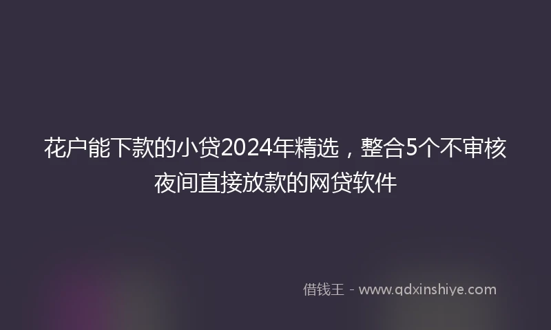 花户能下款的小贷2024年精选，整合5个不审核夜间直接放款的网贷软件