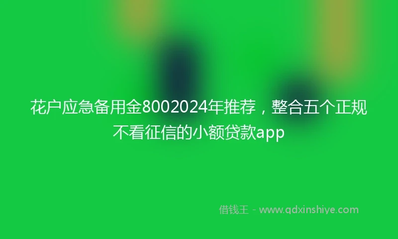 花户应急备用金8002024年推荐，整合五个正规不看征信的小额贷款app