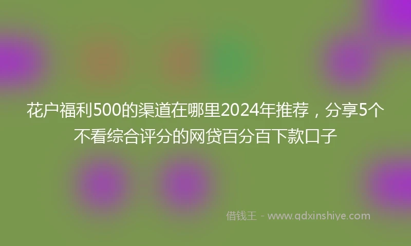 花户福利500的渠道在哪里2024年推荐，分享5个不看综合评分的网贷百分百下款口子