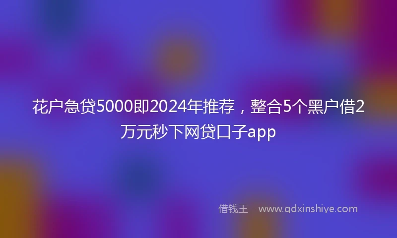 花户急贷5000即2024年推荐，整合5个黑户借2万元秒下网贷口子app