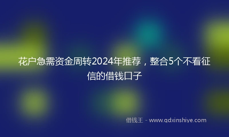 花户急需资金周转2024年推荐，整合5个不看征信的借钱口子