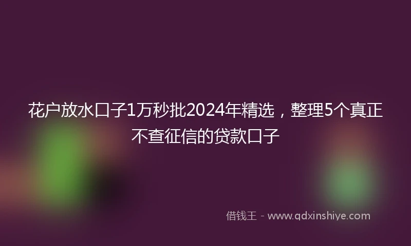 花户放水口子1万秒批2024年精选，整理5个真正不查征信的贷款口子